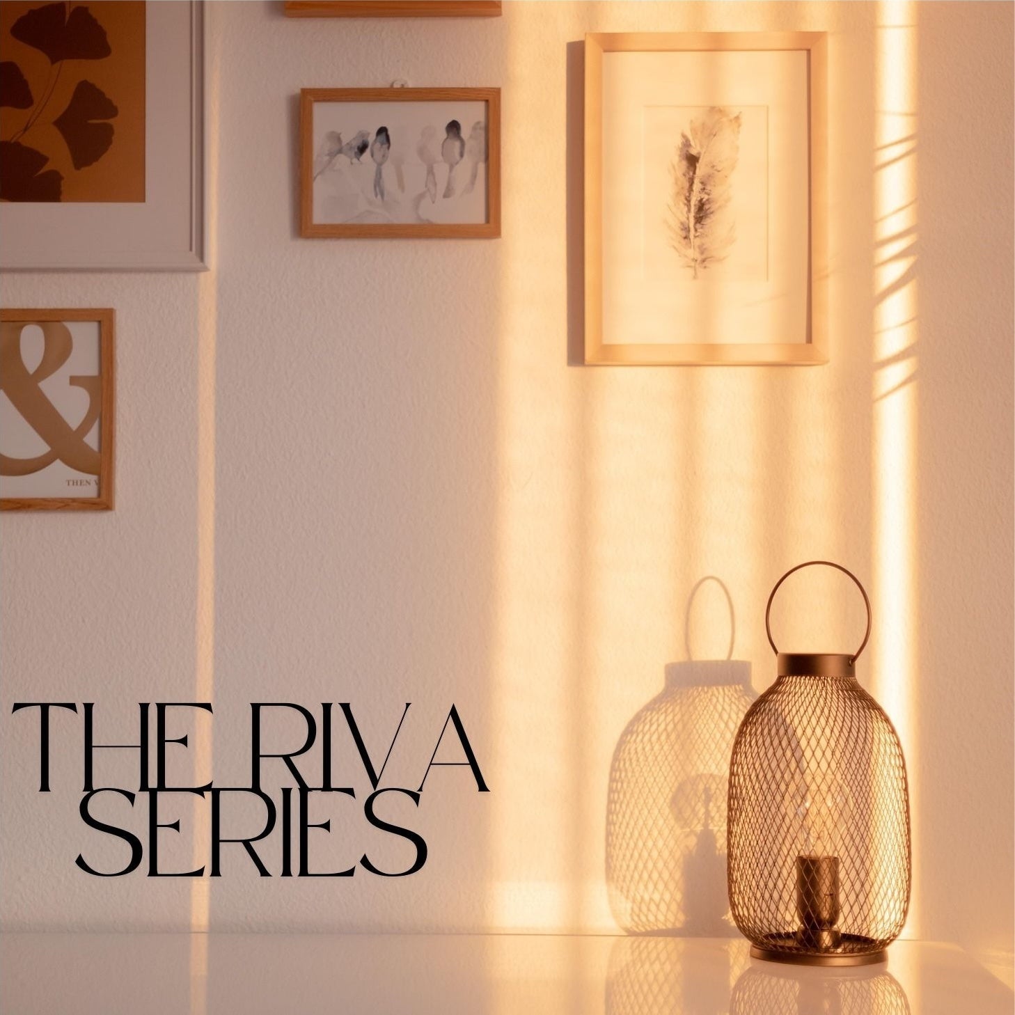 The Riva Series