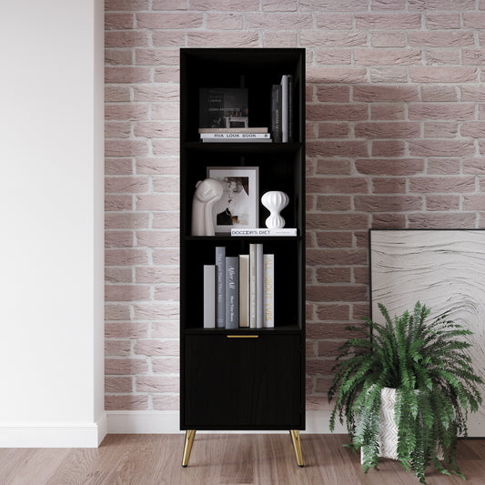 Contemporary Bookcase