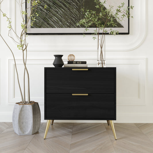 Rafiat 2-Drawers Wooden Nightstand